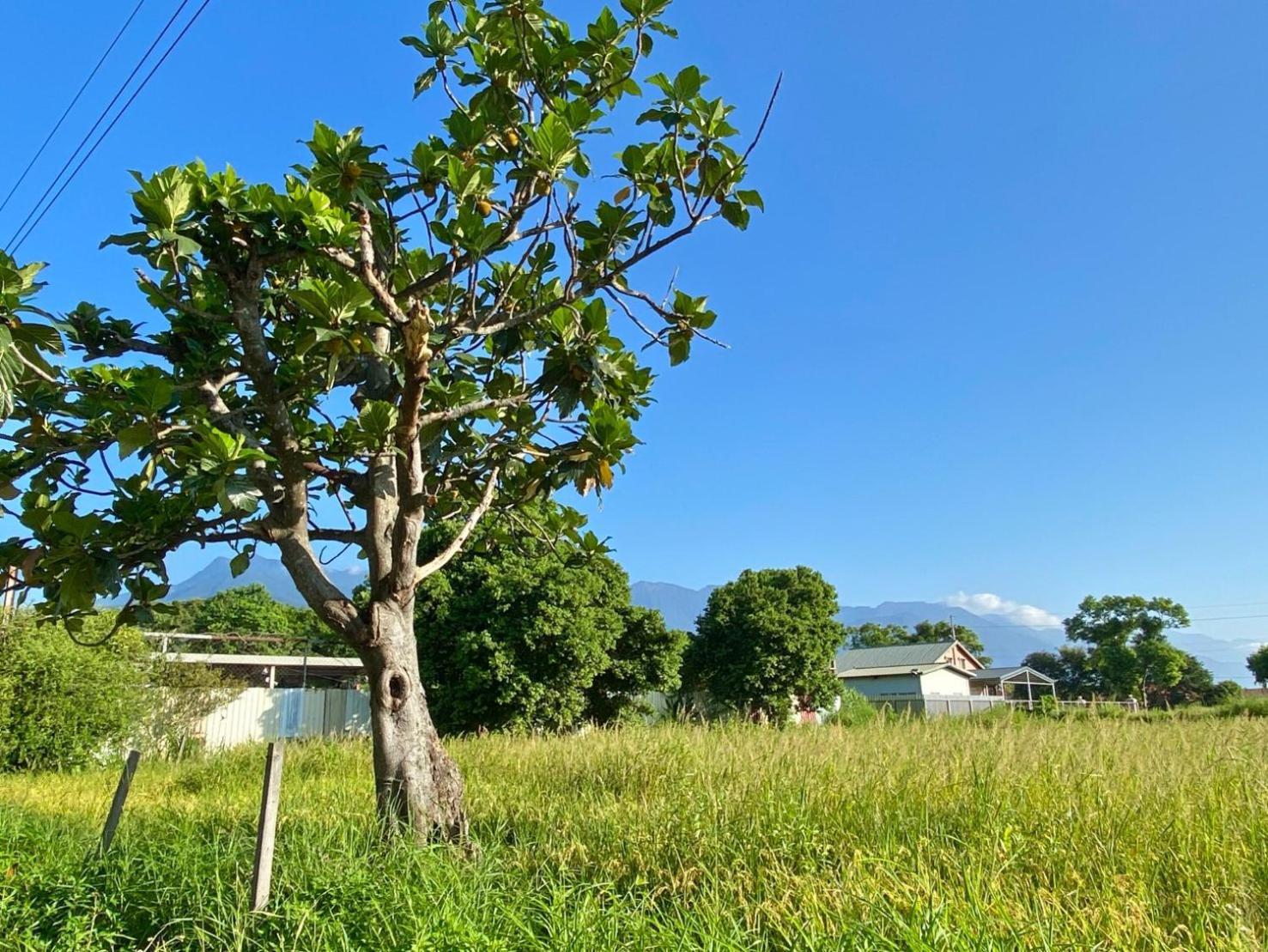Najima B&B Ji'an Exteriör bild